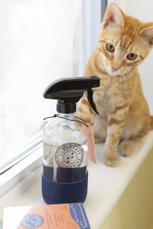 Reusable 16 oz Glass Spray Bottle (Empty) with Silicone Base