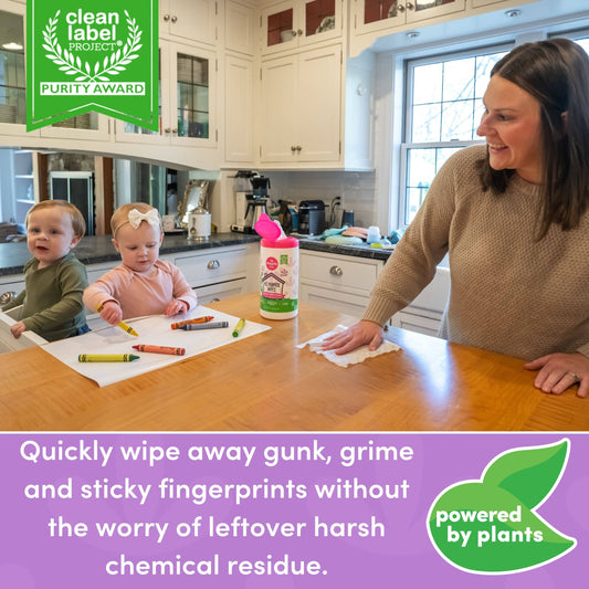 Dapple All Purpose Cleaner Wipes, Lavender, 75ct