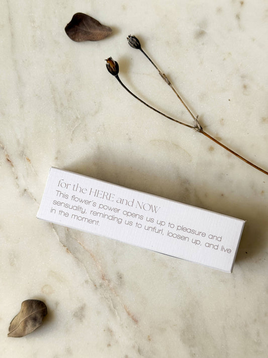 Desert Willow Flower Essence