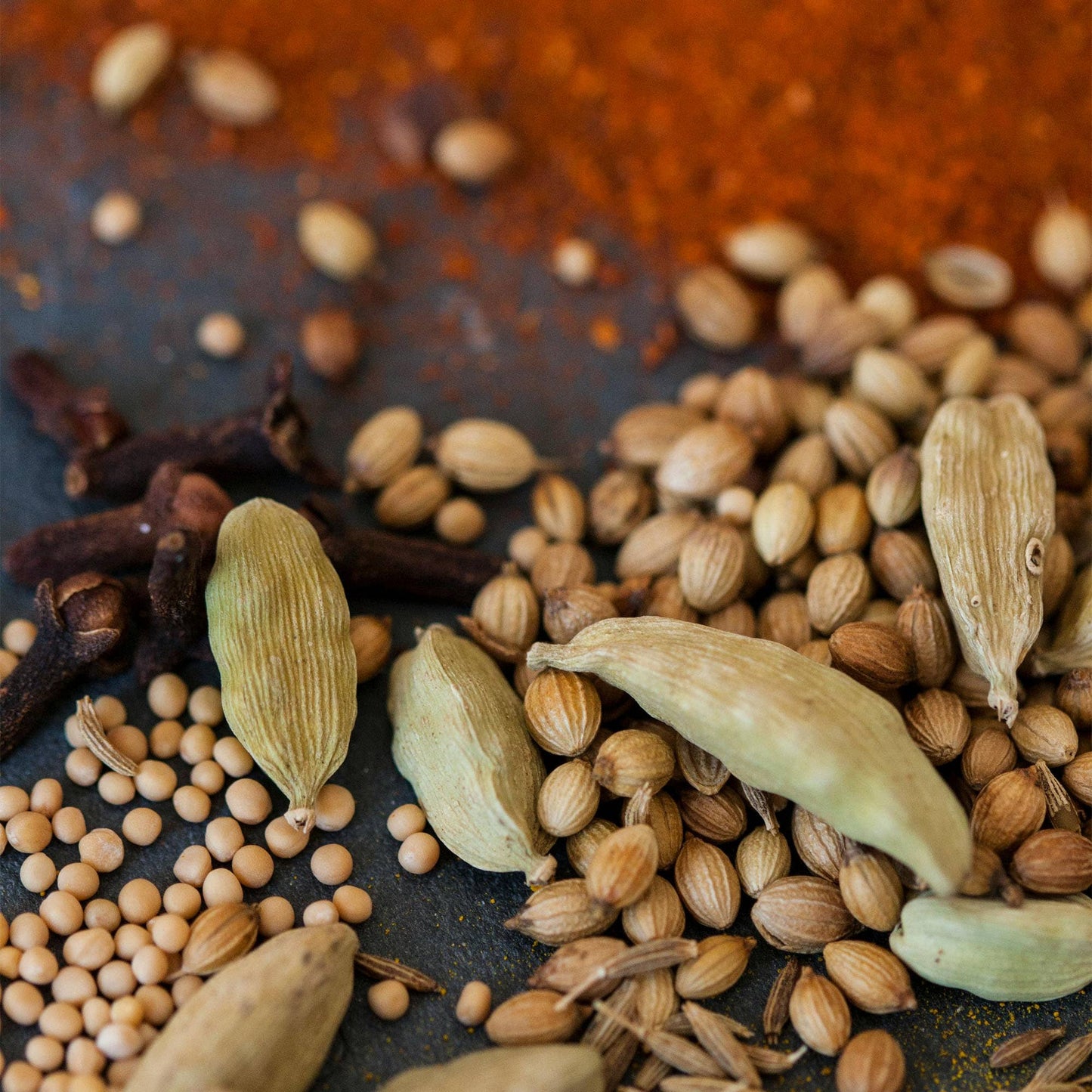 Chai Spice Push Scent Refill