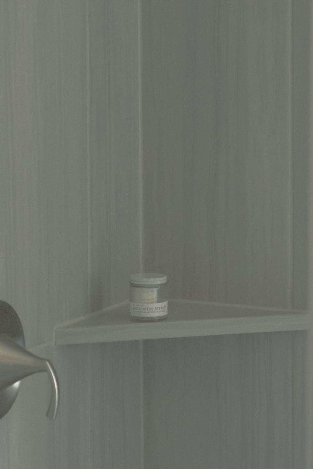 EUCALYPTUS STEAM® Cleansing Vapors for the Shower® Mini Jar - No Tox Life