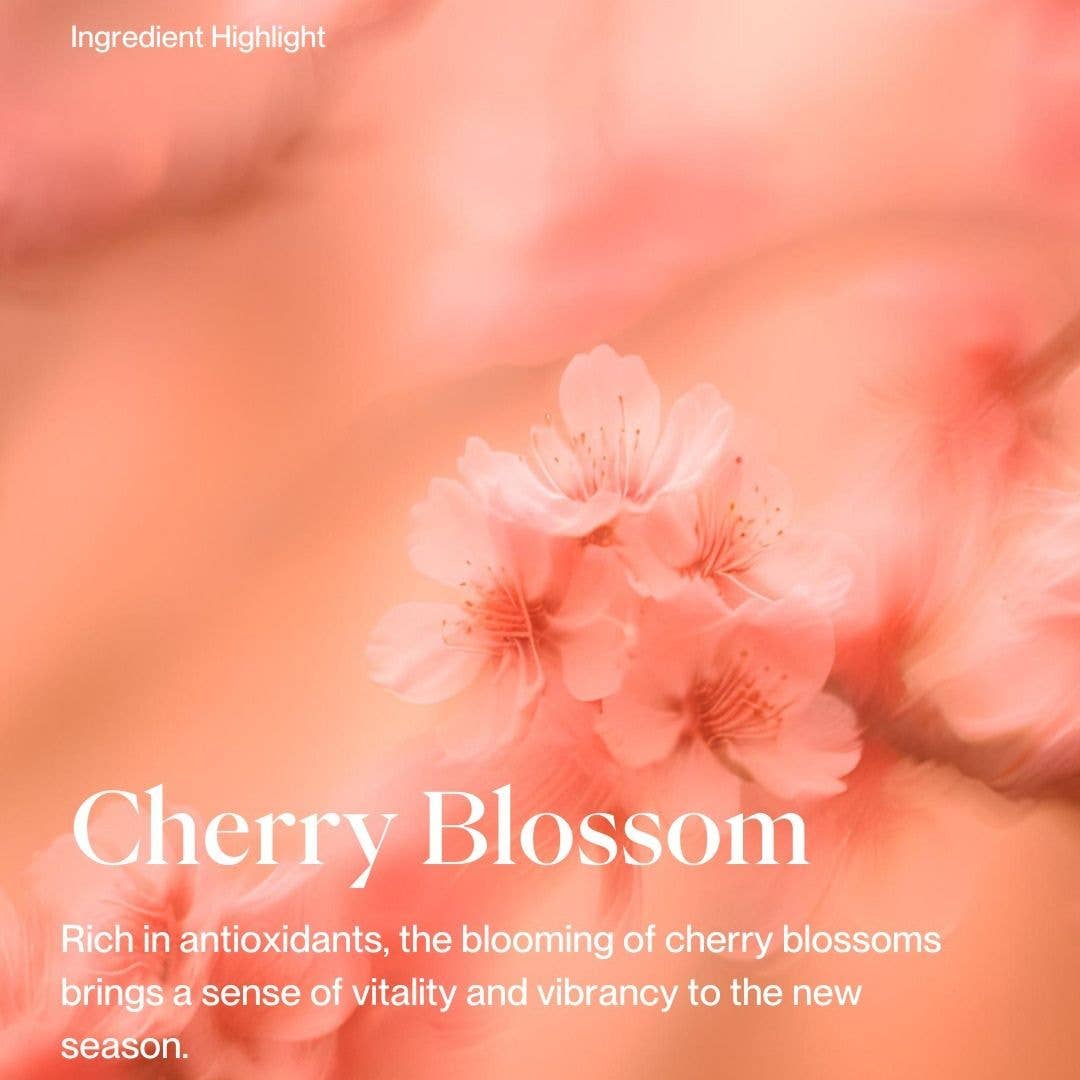 Cherry Blossom Konjac Face Sponge - Gentle Exfoliator