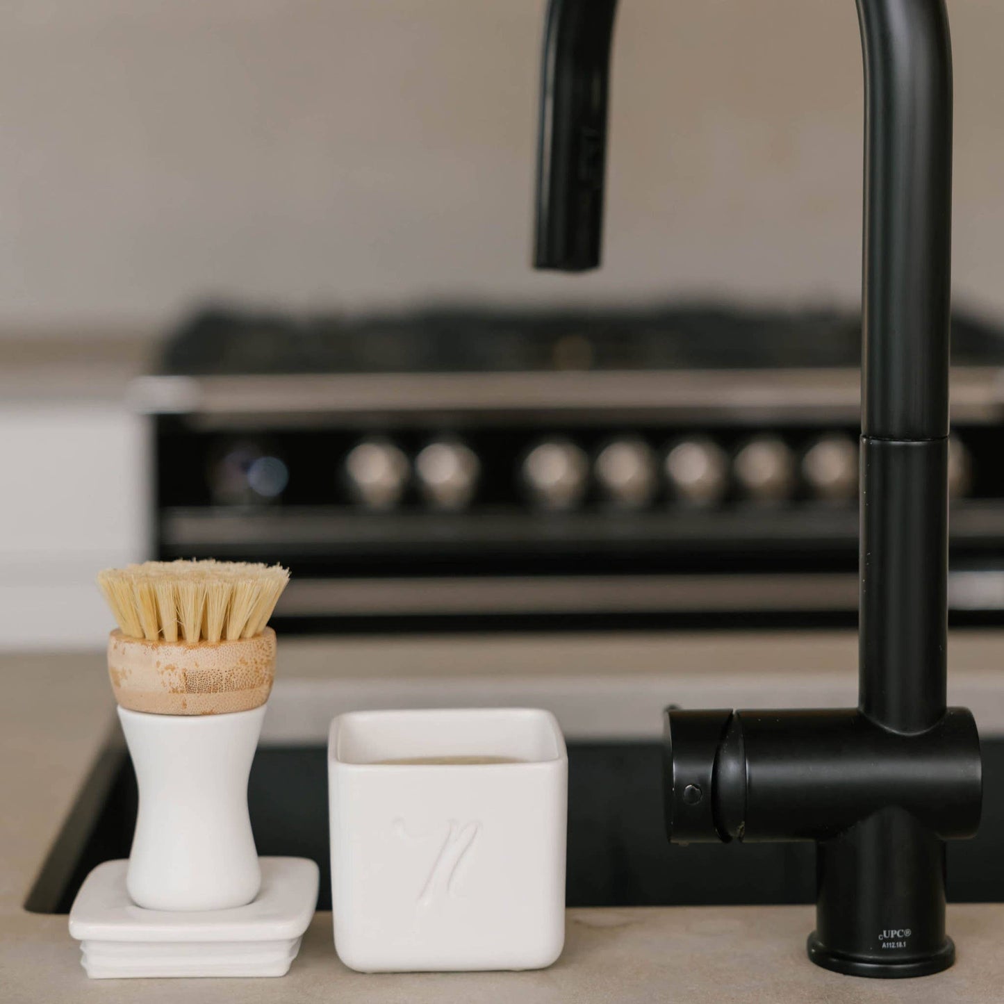 Kitchen Brush - Dish Cleaning Brush