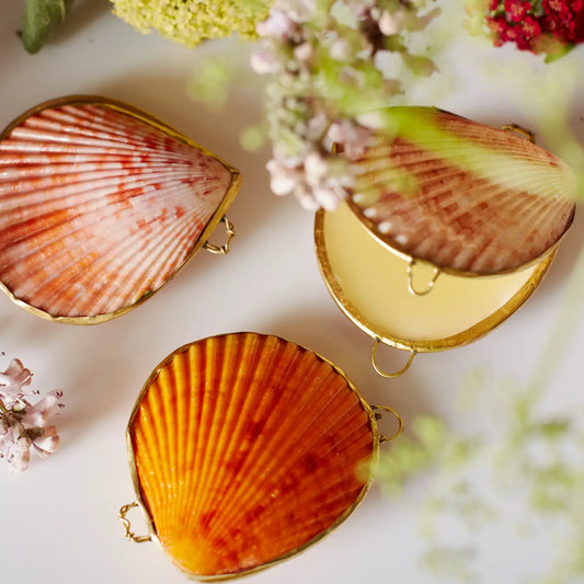 Earth Tu Face Seashell Botanical Perfume