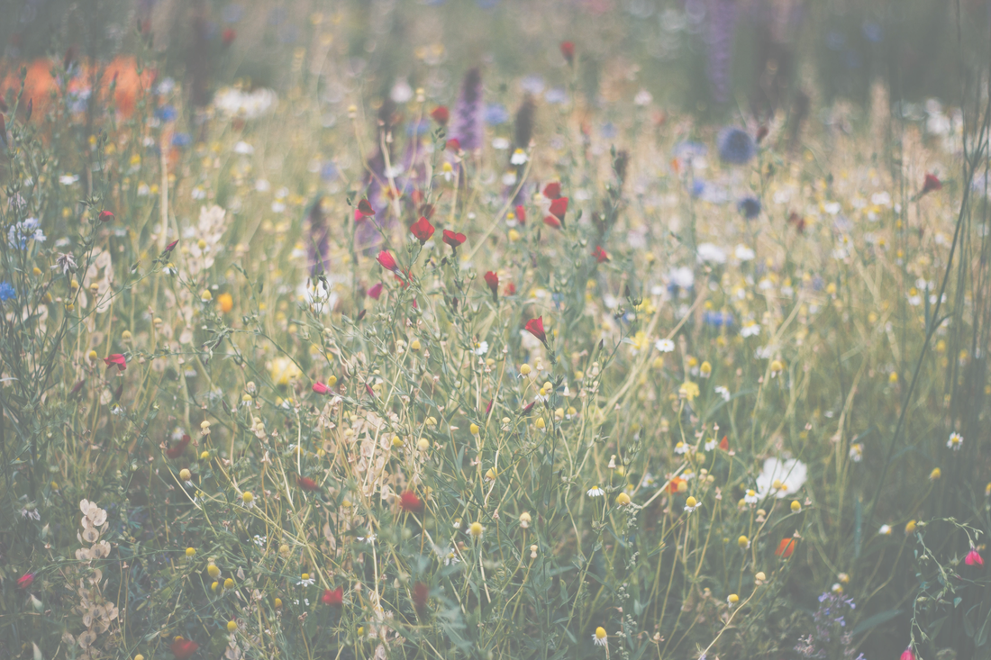 5 Simple Ways to Make Wellness Part of Your Everyday Routine