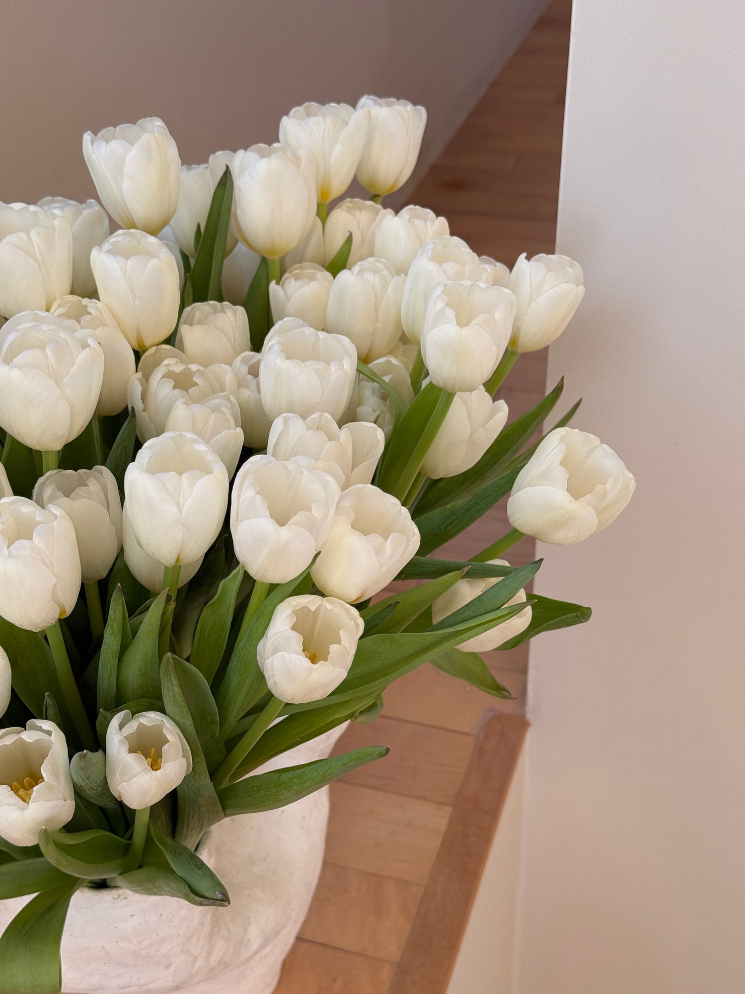 Mother's Day Gifts