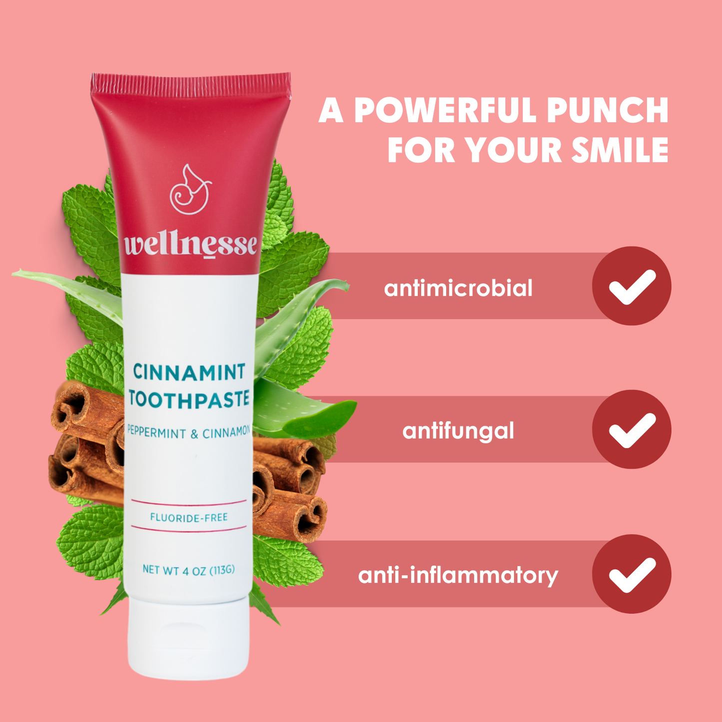 Cinnamint Toothpaste Intro Pack - Fluoride-Free
