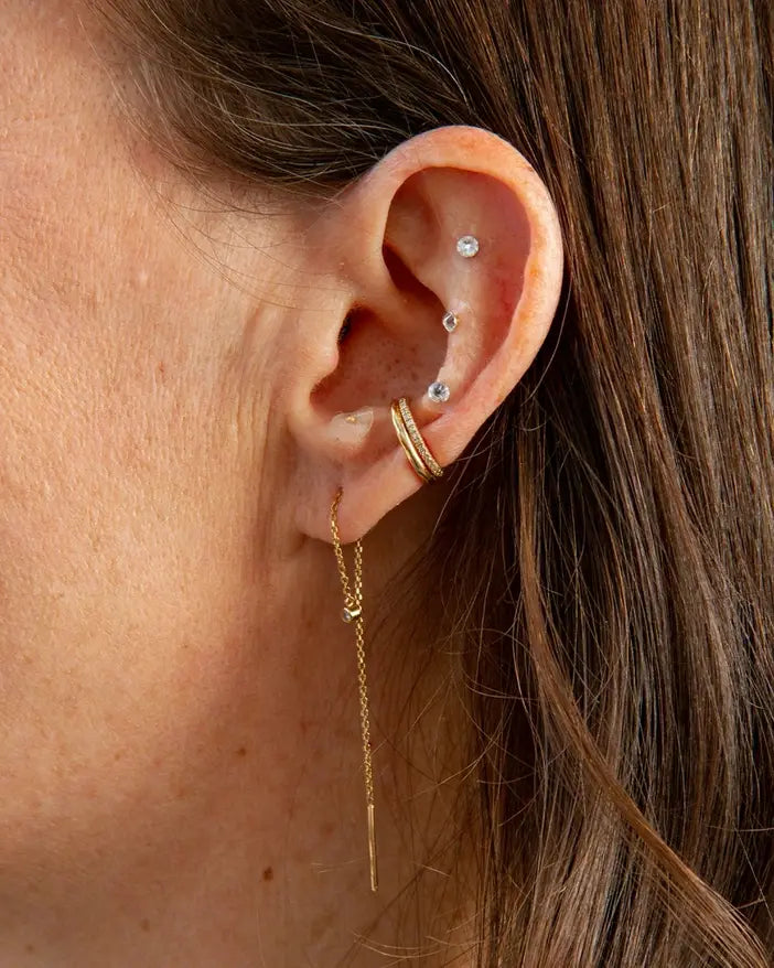 Ear Seed Kit