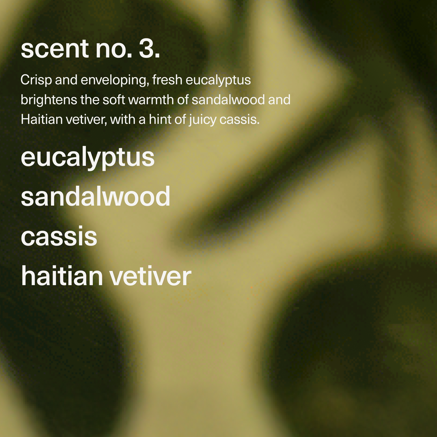 Burn no. 3 - massage candle, eucalyptus, sandalwood