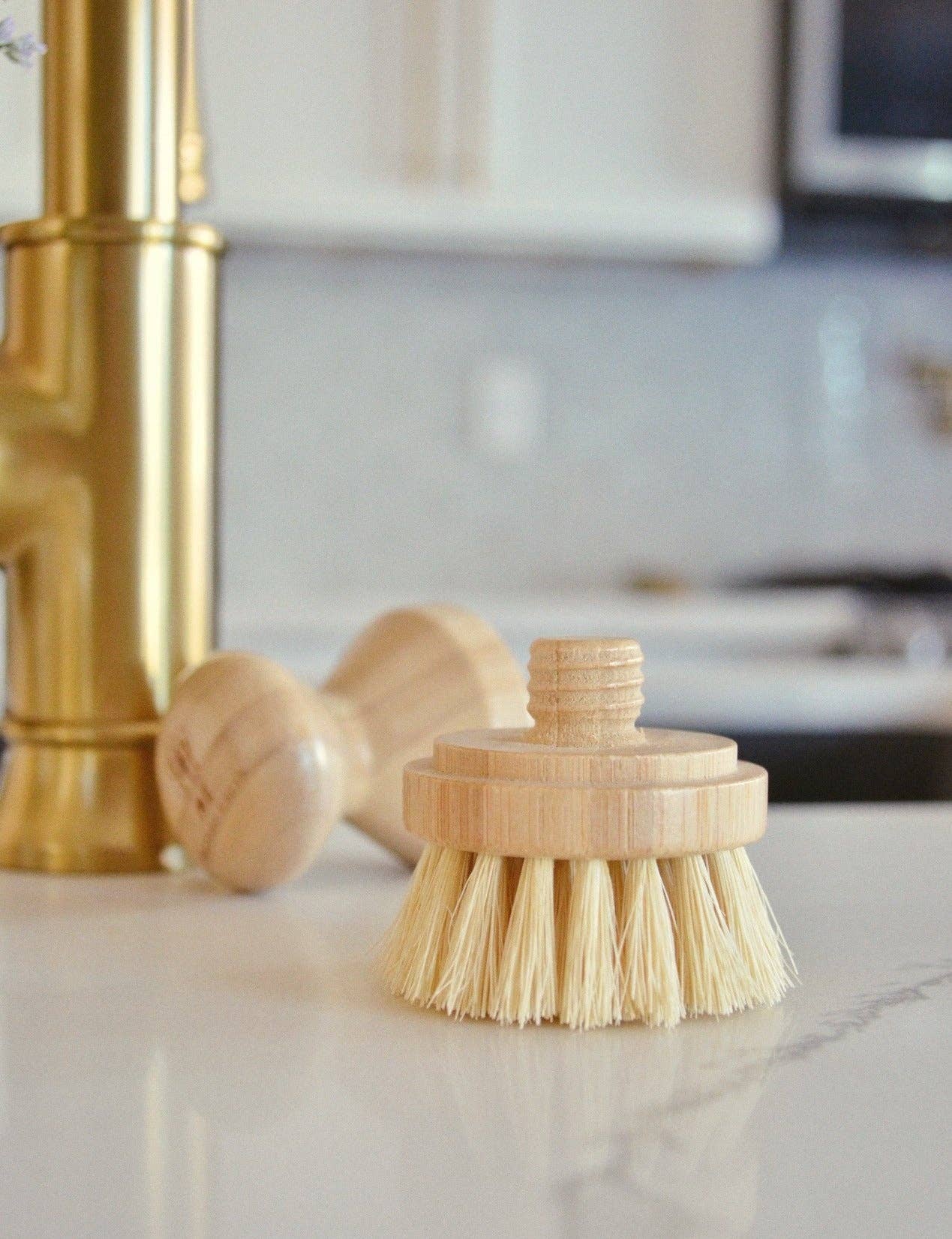 Modular Brush Refill Heads ONLY