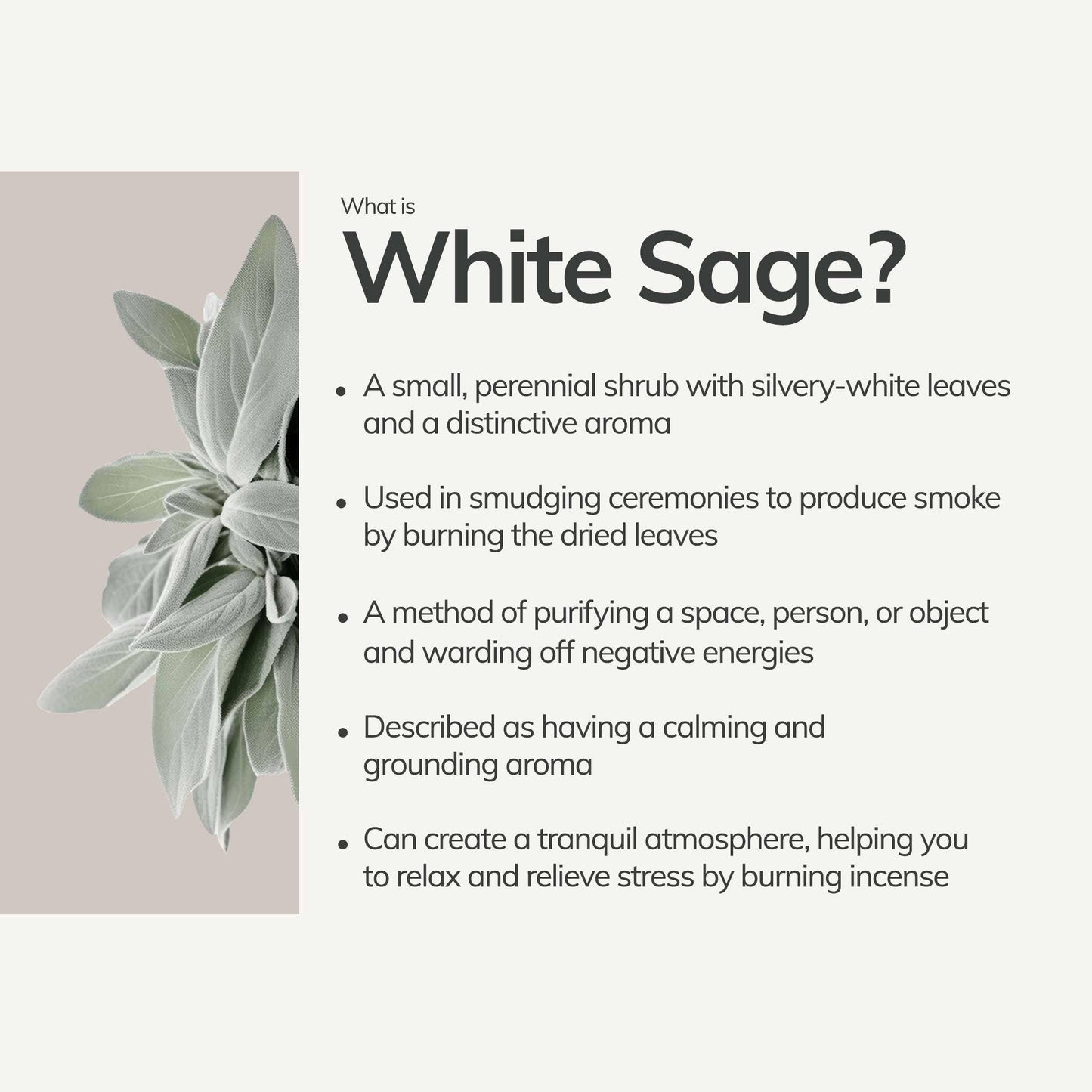 Medium Organic White Sage Smudging Stick