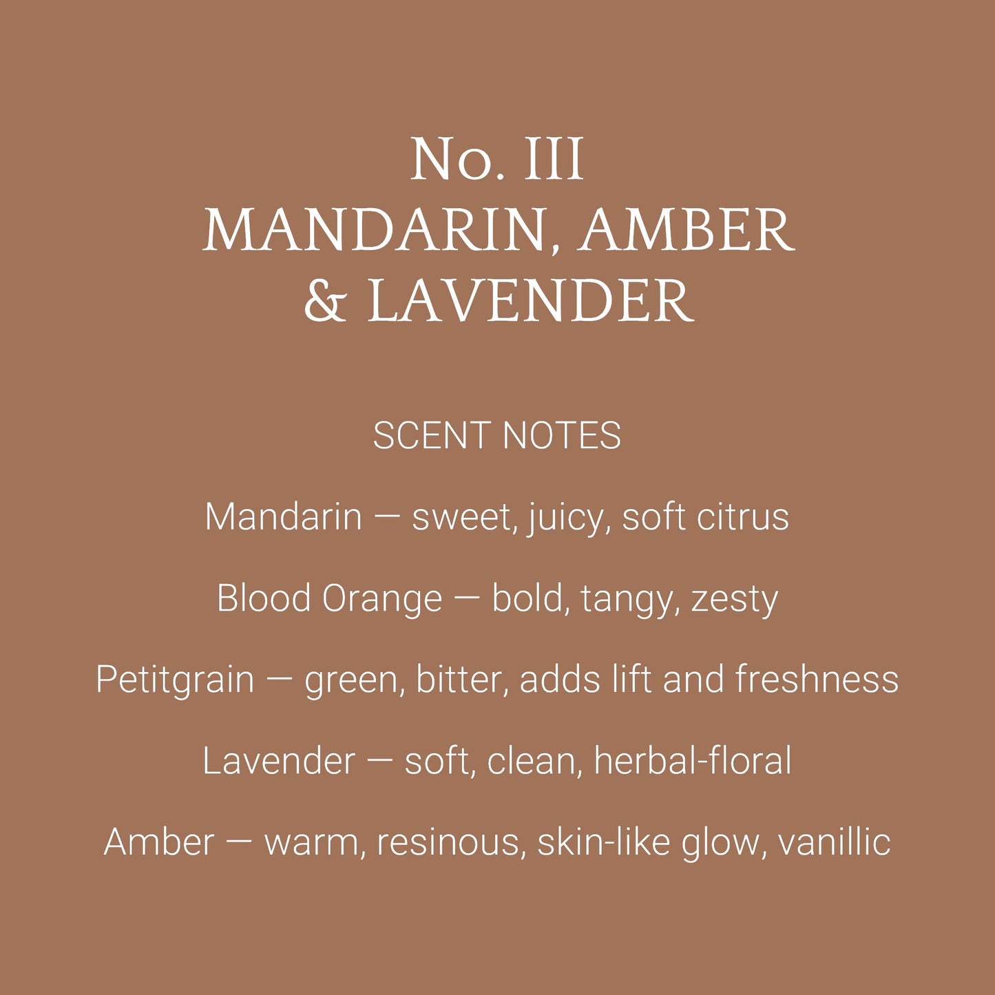 Orange and Amber Botanical Incense / All Natural Warm Citrus