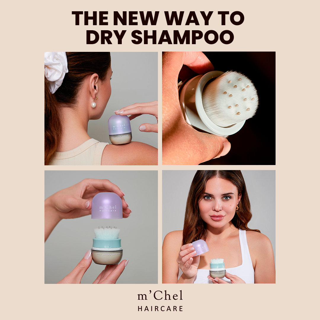 Refurbished Day After™ Brush