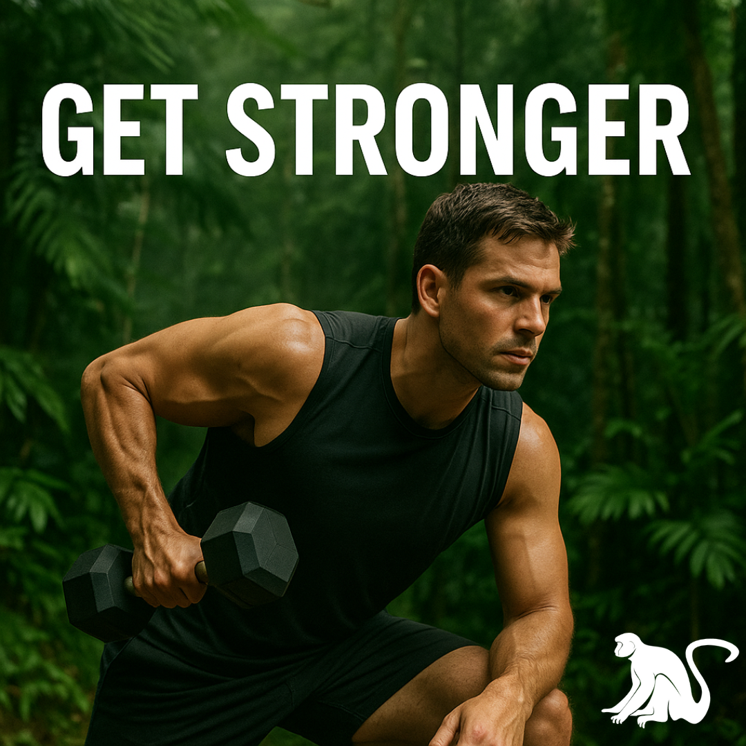 Shilajit Tablets