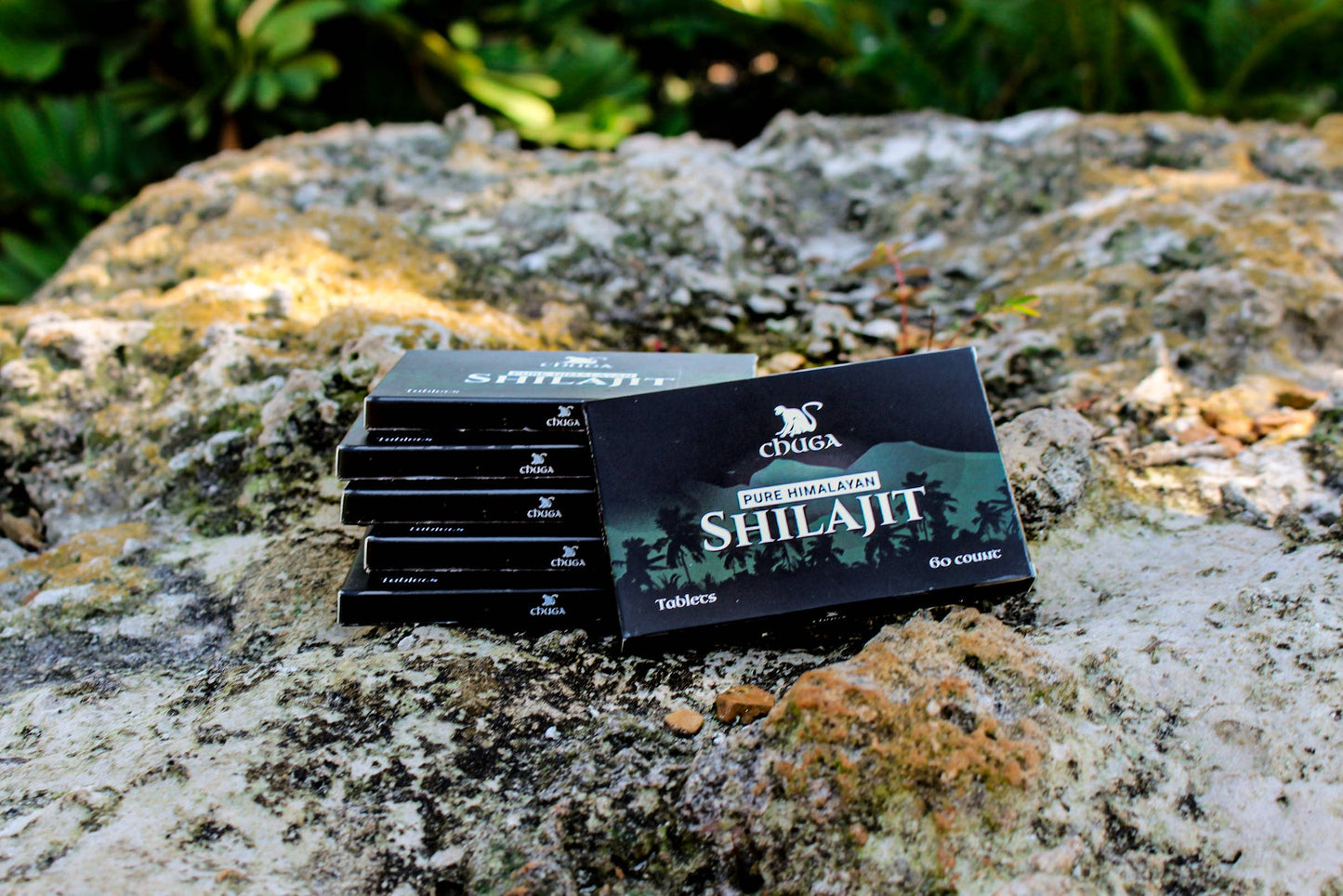 Shilajit Tablets