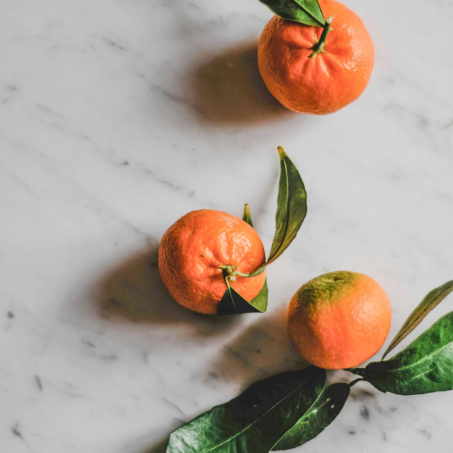 Earl Grey Push Scent Refill