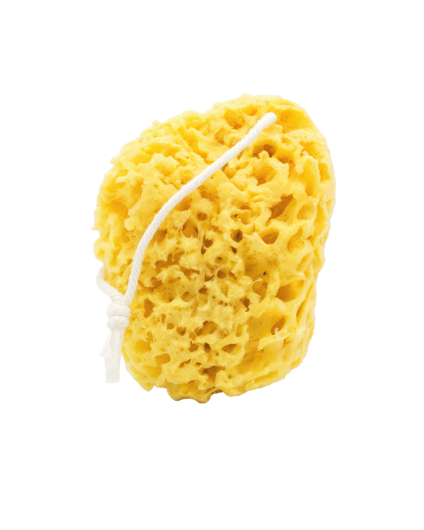Mineral Sea Sponge