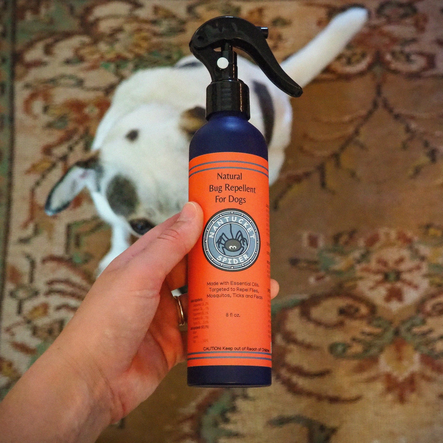 Natural Bug Repellent Spray For Dogs