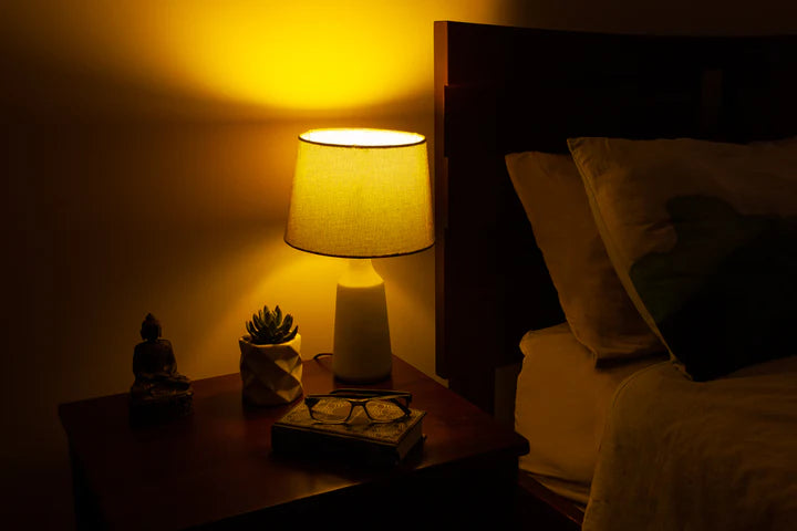 Bon Charge Light Bulb