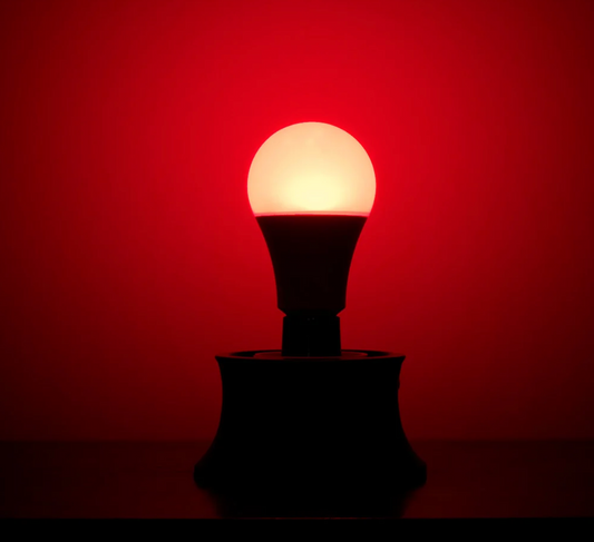 Chroma The Bulb