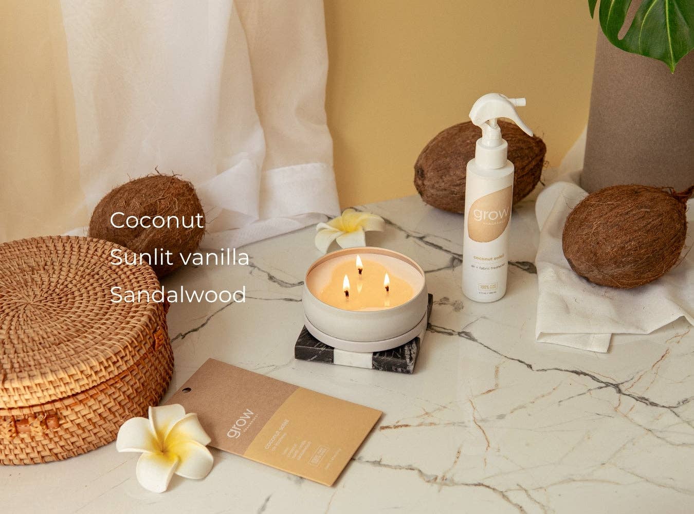 Coconut Soleil Car Freshener