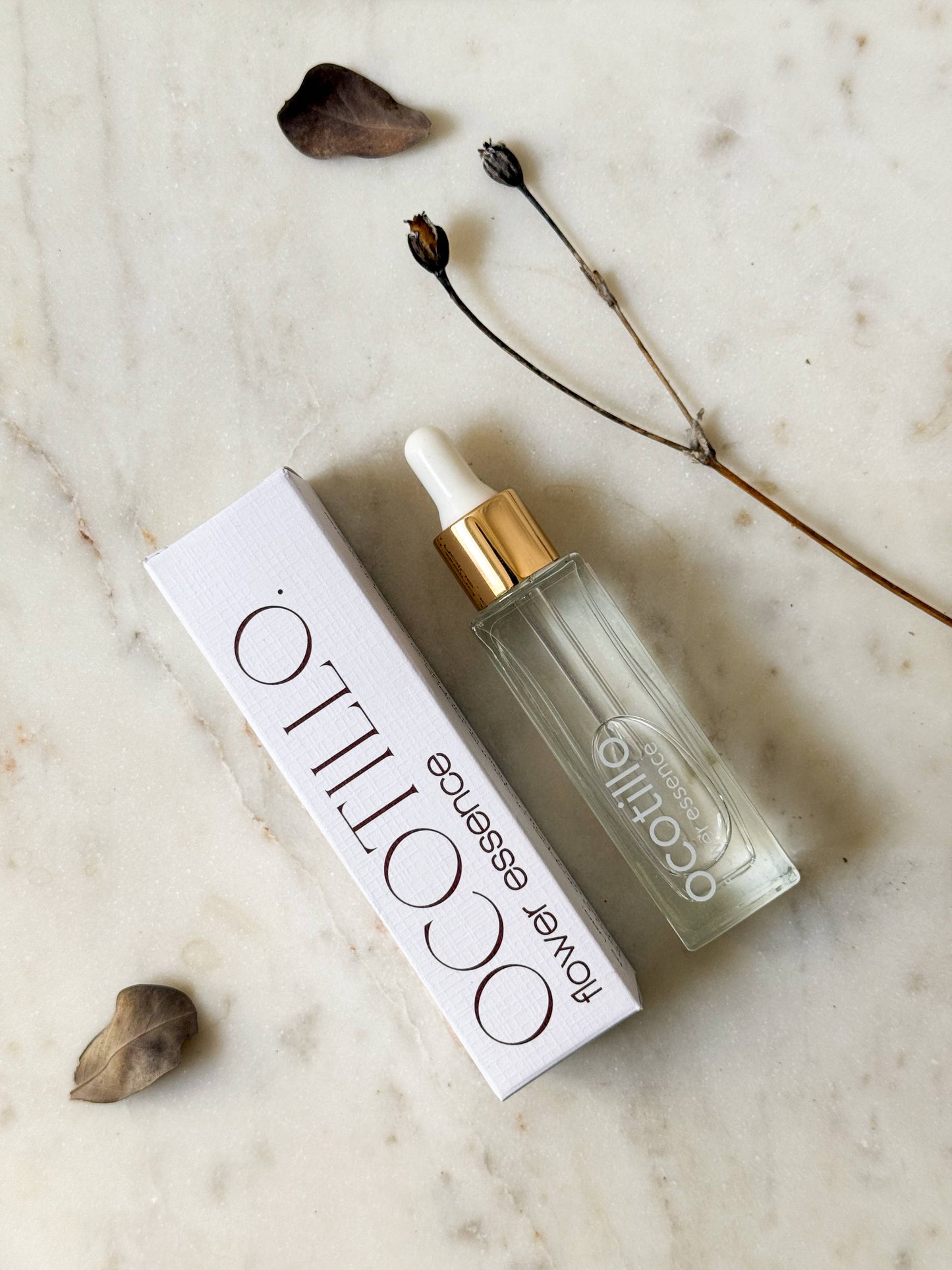 Ocotillo Flower Essence