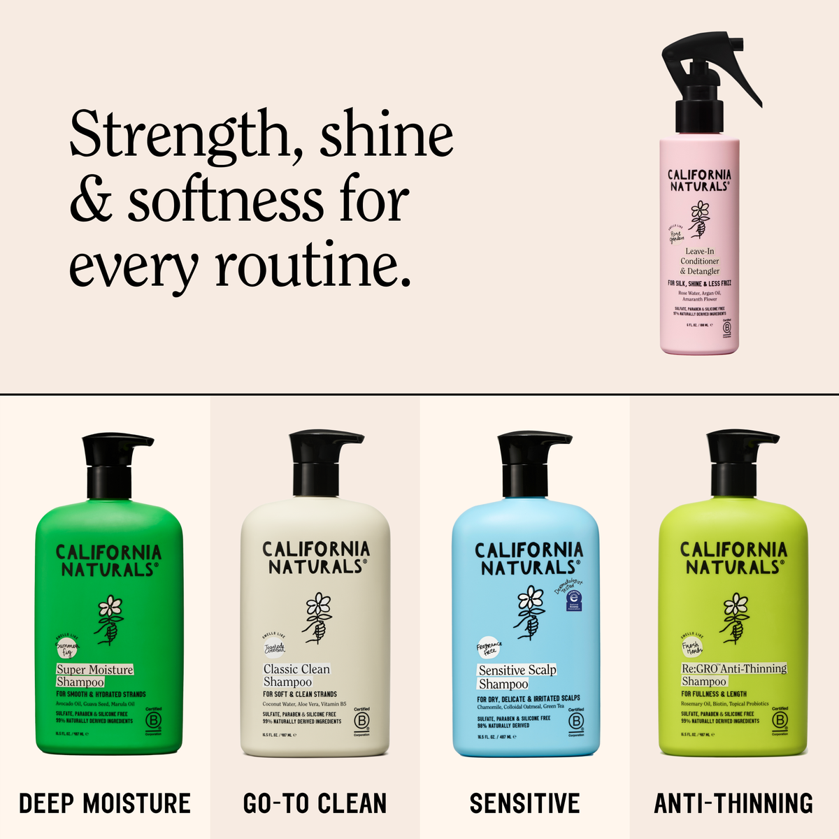 Leave-In Conditioner and Detangler
