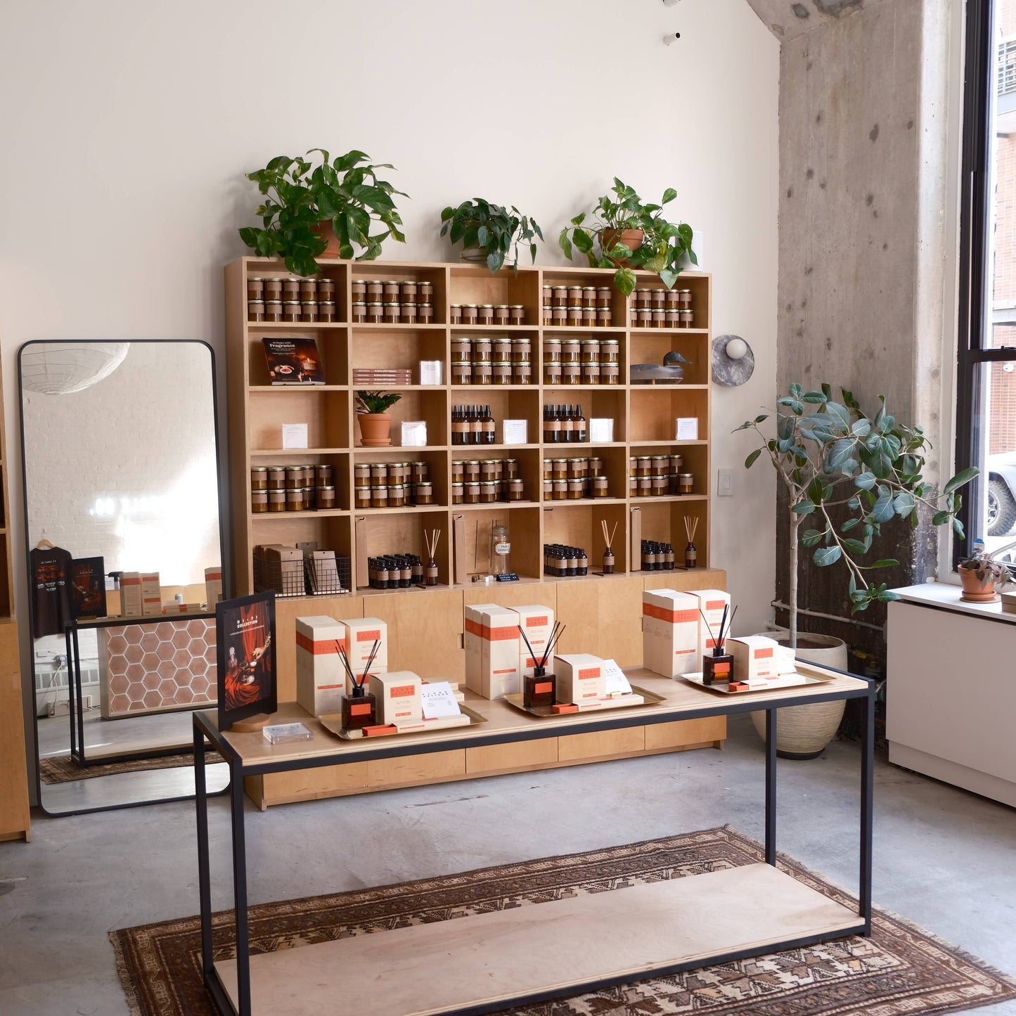 Amber & Moss - 7.2 oz Standard Soy Candle