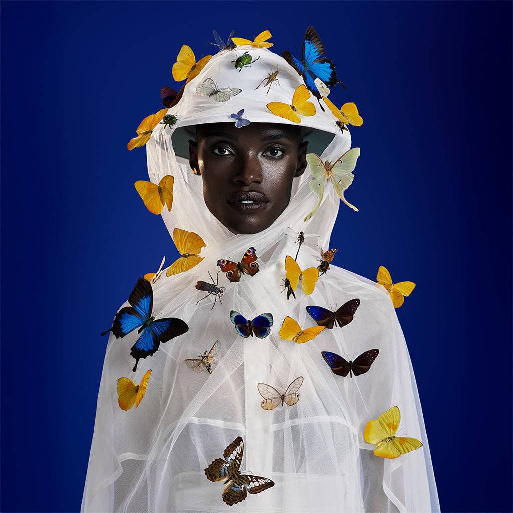 THE ENTOMOLOGIST