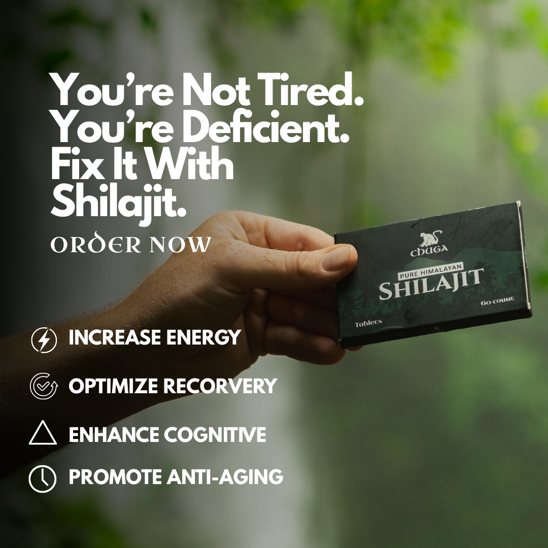 Shilajit Tablets