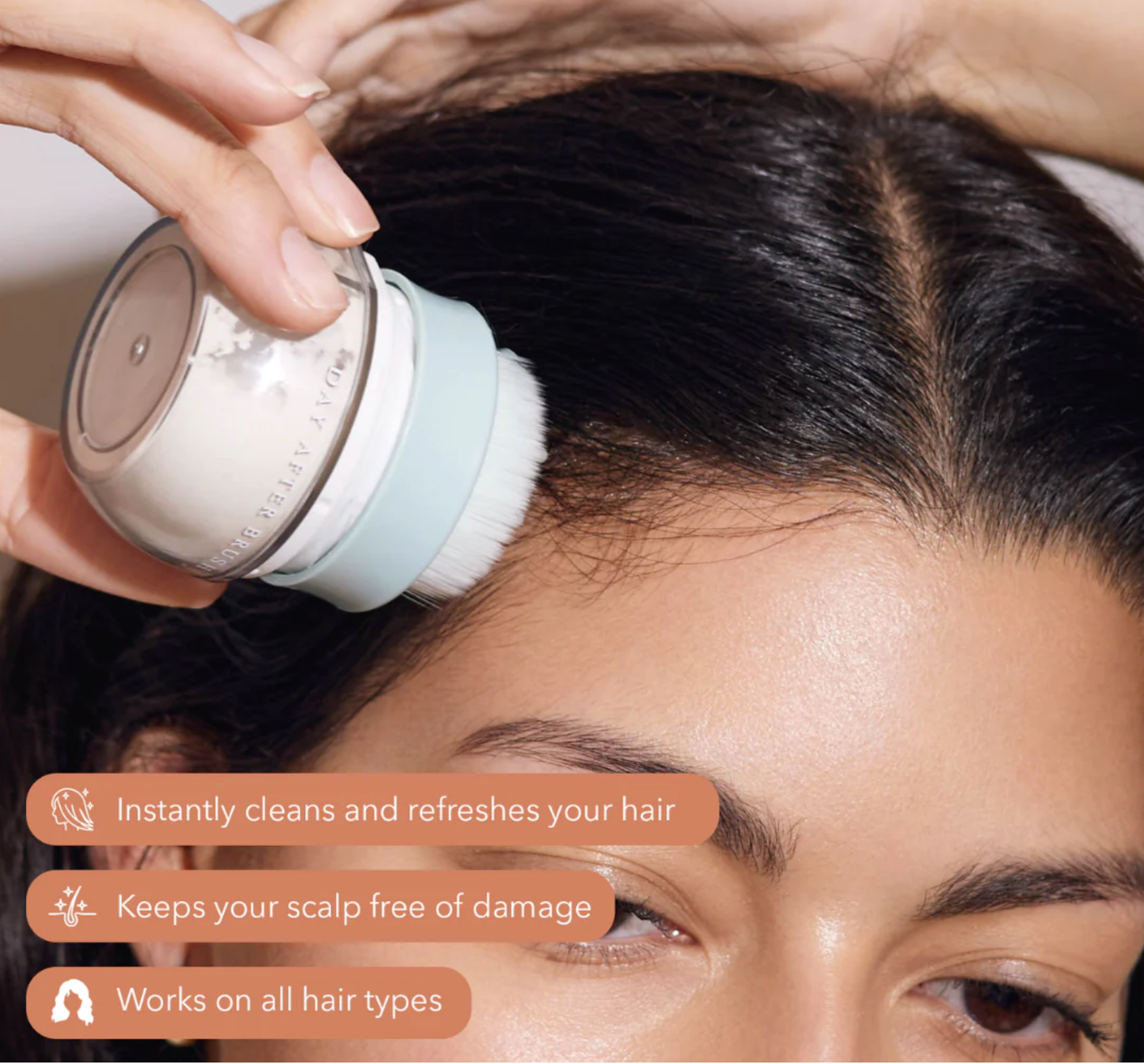 Refurbished Day After™ Brush