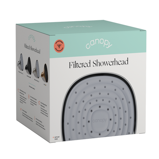 Filtered Showerhead
